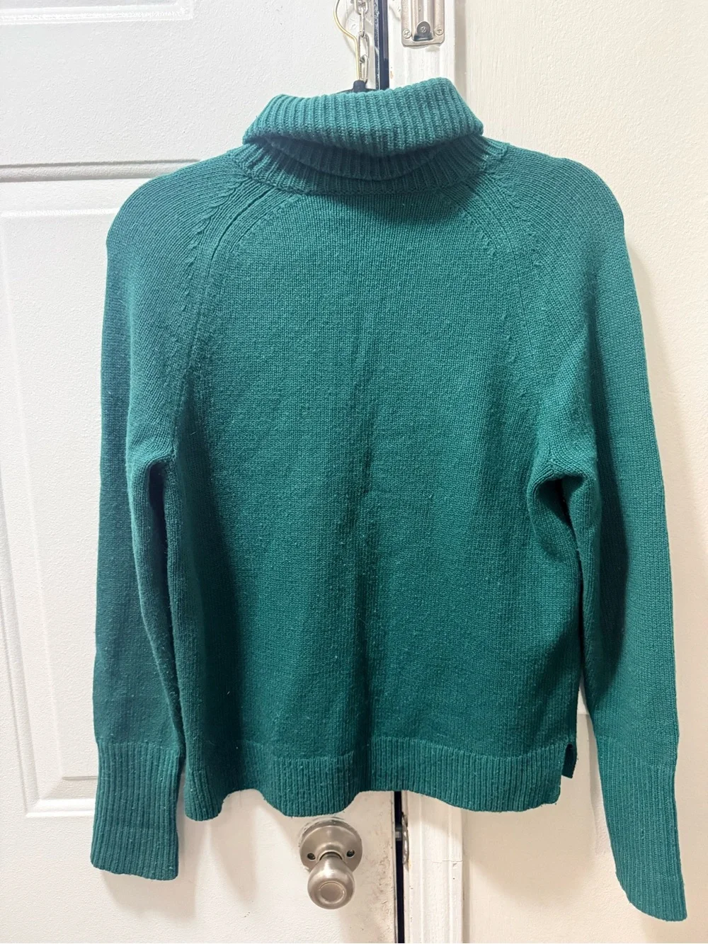 J. Crew classic turtleneck
